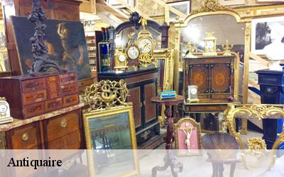 Antiquaire Loiret