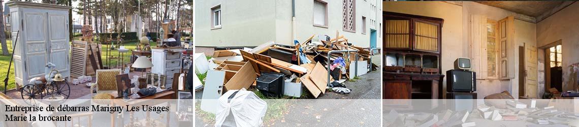 Entreprise de débarras  marigny-les-usages-45760 Marie la brocante