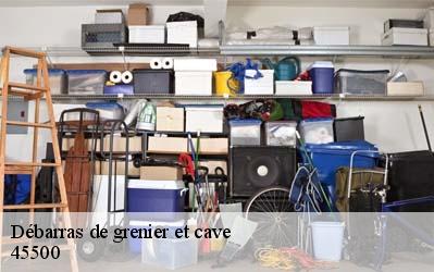 Débarras de grenier et cave  45500