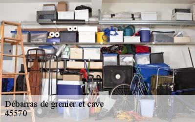 Débarras de grenier et cave  45570